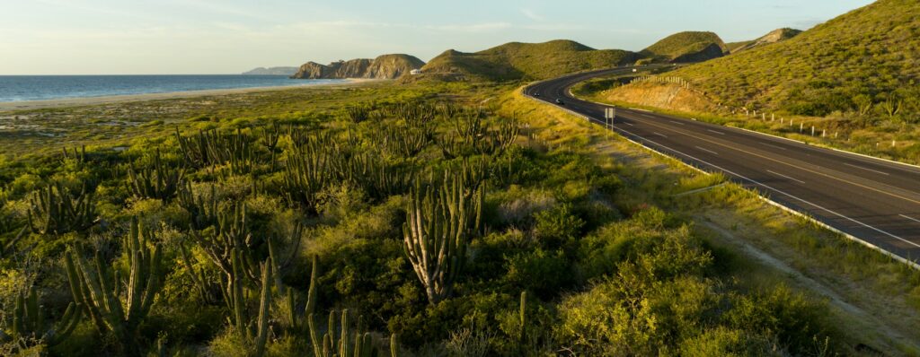 Baja California landscape